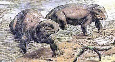 Therapsids (Permian