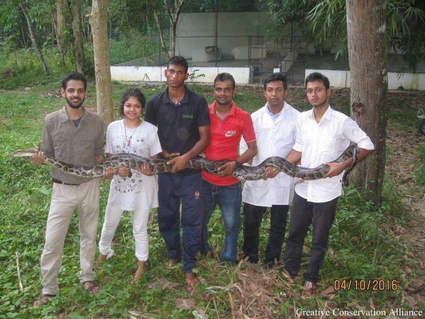 Ecology and Conservation of Burmese Python in