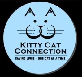December 10, 2017 Kitty Cat Connection Newsletter In this issue: Cats in our care & Success Story of the Month Behavioral News Did You Know? Kitty Cat Connection, Inc.