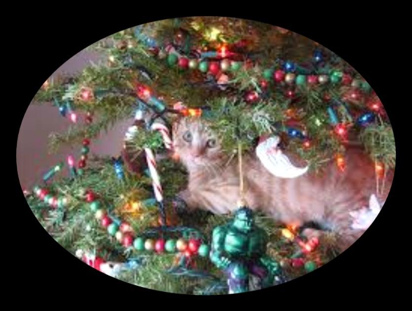 If your cat decides to jump in the tree and the tree falls all those glass ornaments will be destroy in a second, and could lead to injuries.