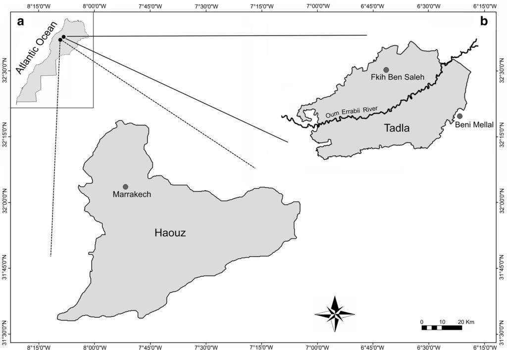 Page 4 of 11 Fig. 1 Map showing the location of the Haouz and Tadla regions in Central Morocco of each variable (McGarigal et al. 2000).