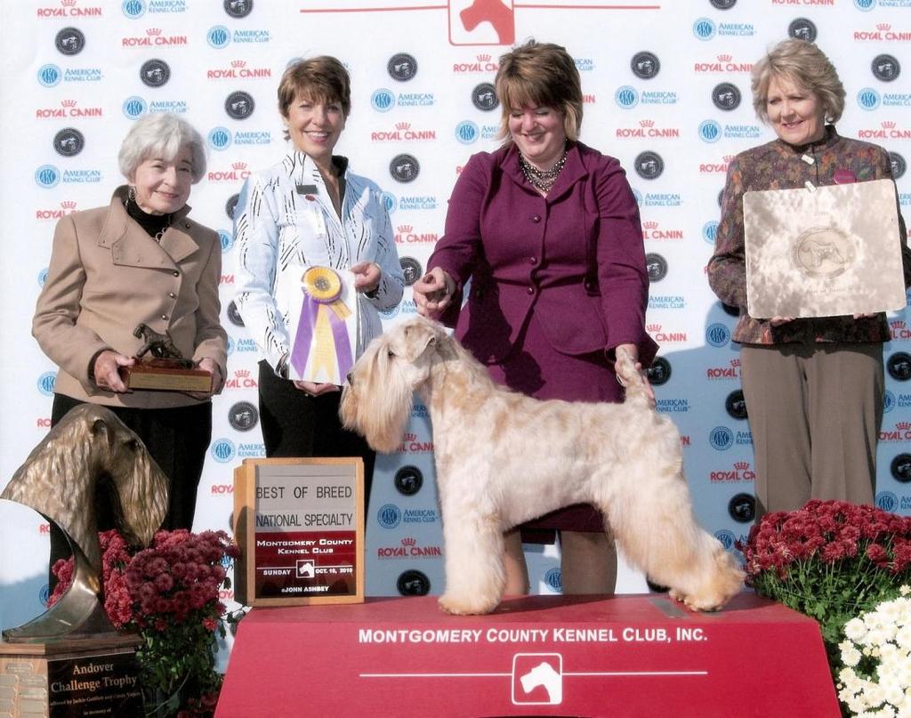 Andover Challenge Trophy GCH.