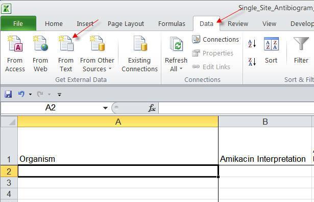 7. To bring your LabPro data into the template, click Data, and then click From Text.