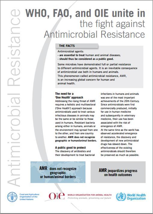 Addressing AMR using a One Health Approach: Building on