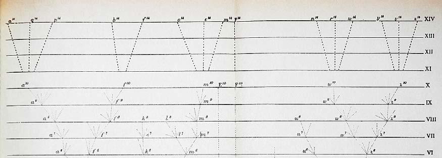 A Bird with Many Beaks Diagram representing the divergence of species, from Charles Darwin s On the Origin of Species.