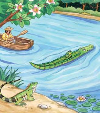 Iguana watched as Crocodile swam away rapidly with the frog. Crocodile swam well and smoothly.