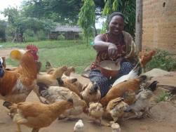 She sold 30 chickens for KES 10,000 in the same month. In March 2011, she sold another 13 chickens for KES 3,100.