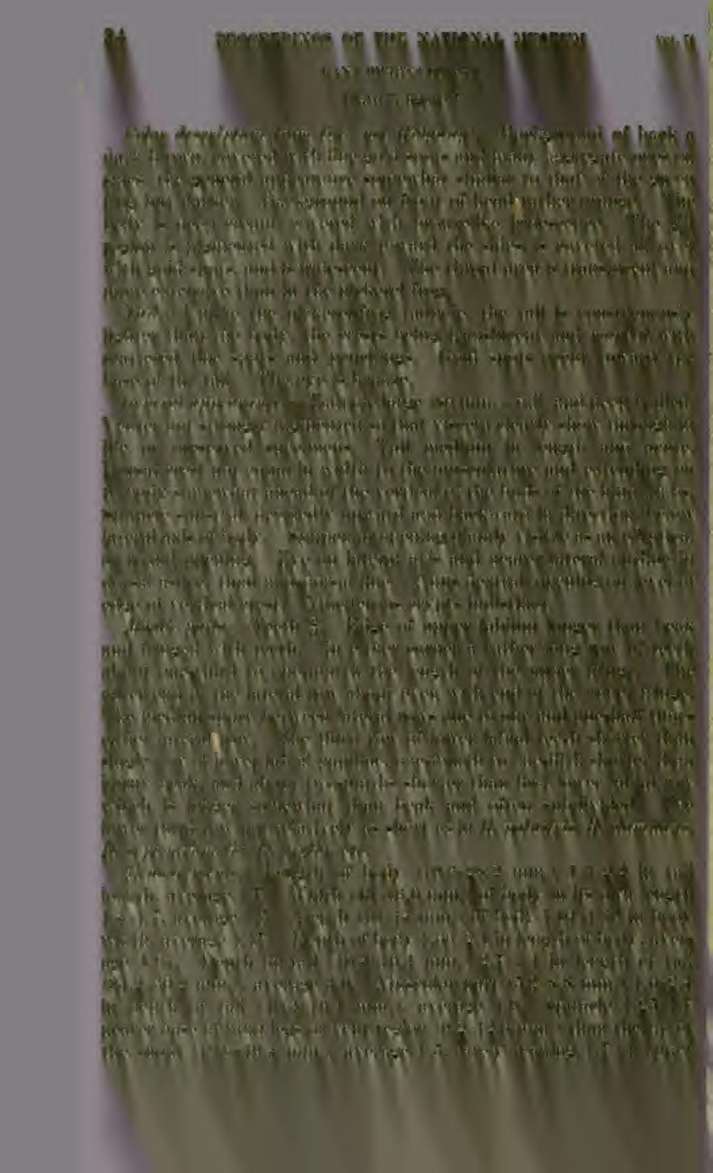 34 PROCEEDINGS OF THE NATIONAL MUSEUM vol.74 RANA PIPIENS Schreber Plate 7, figure 7 Color description jrom lije {not Ridgway).