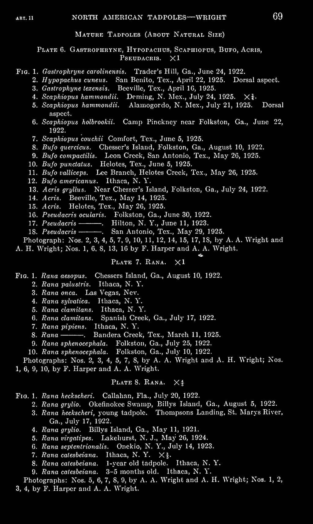 Helotes, Tex., June 5, 1925. 11. Bufo valliceps. Lee Branch, Helotes Creek, Tex., May 26, 1925. 12. Bufo americanus. Ithaca, N. Y. 13. Acris gryllus. Near Chesser's Island, Folkston, Ga.