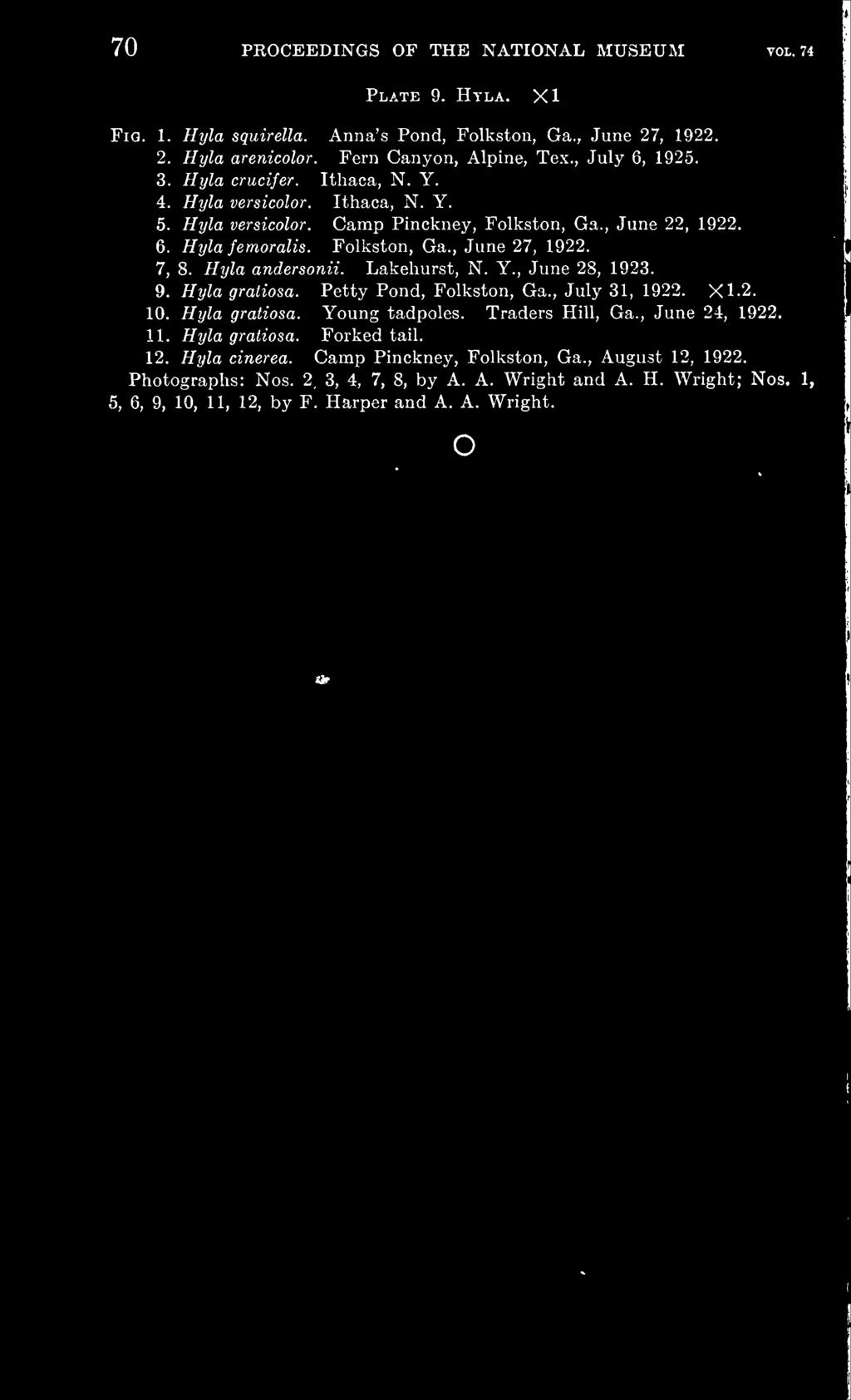 Hyla andersonii. Lakehurst, N. Y., June 28, 1923. 9. Hyla gratiosa. Petty Pond, Folkston, Ga., July 31, 1922. Xl.2. 10. Hyla gratiosa. Young tadpoles. Traders Hill, Ga., June 24, 1922. 11.