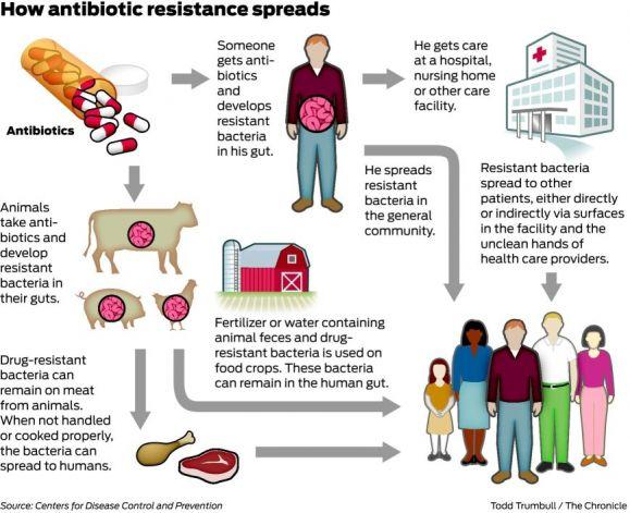 What are some of the ways that bacteria are becoming resistant to antibiotics?