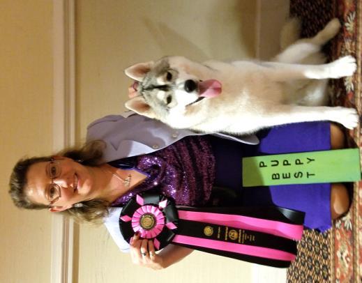 Title at the Kingsport Agility Trial in White Pine. She is a wonderful little dog who loves to train and show!