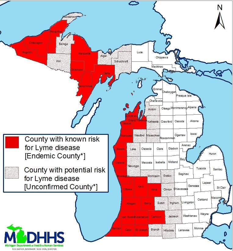 Michigan Michigan LD Risk
