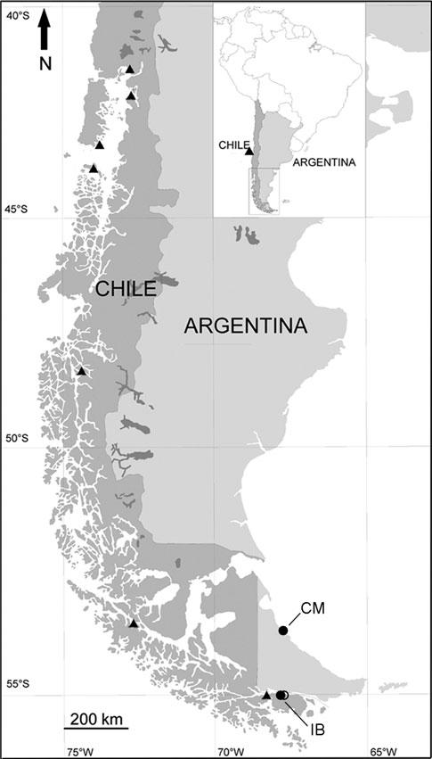 138 Helgol Mar Res (2013) 67:137 147 a second, morphologically cryptic species of Incrustatus in the Beagle Channel, and flagged the intertidal population from eastern Tierra del Fuego as a