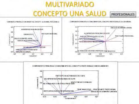 Multivariate analysis Concepts Undergraduate formation Labor