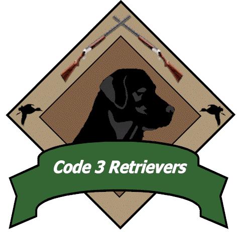 Code 3 Retrievers Puppy Guarantee I. OVERVIEW We are very concerned with the proper treatment and training of all of the puppies we sell.