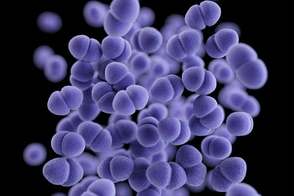 Methicillin-resistant Staphylococcus