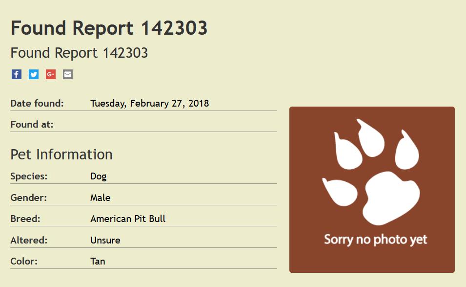We looked at the found reports posted by Animal Services staff during January through March 2018 and found that: 25% did not have a picture, 18% did not have a found location, and 18% did not include