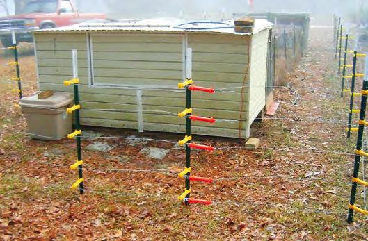 n Use electric fencing to protect gardens, garbage, compost piles, apiaries, fruit trees and livestock.