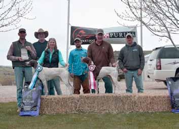 2018 NGSPA REGION 9 CHAMPIONSHIPS THE RUNNING OPEN SHOOTING DOG The trial kicked off with the open shooting dog.