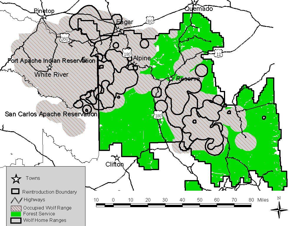 2003 IFT Annual Report Page 14 of 27 Figure 6. Occupied Mexican Wolf Range during 2003, based on 95% MCP home ranges with a 3- mile buffer and a 5-mile buffer around locations of individual wolves.