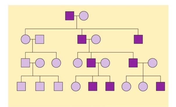 19. The following pedigree traces the inheritance of two independently assorting genes in a family. A dot represents the occurrence of an extra finger, a condition known as polydactyly.