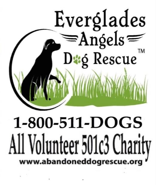 Everglades Angels Dog Rescue is the rescue we chose to support at this trial.