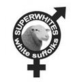 SUPERWHITES The highest performing White Suffolks in Australia About Superwhites: The Superwhites genetic improvement group was formed in 1995 and comprises 20 members