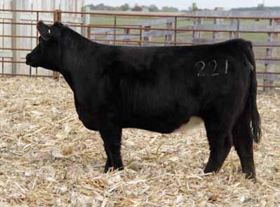 Jong 273 Tharpe Angus Tharpe Angus 225 Tharpe Angus AI bred 5/6 to WLE Uno Mas X549 Here s one to raise show heifers.