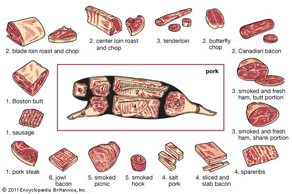 Look at the diagram above, and the poster to find your favorite sort of pork.