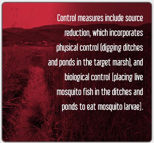 Vector-Borne Disease Control in Human Medicine Continued In most cases, the primary, sometimes the only, approach to prevention of these diseases has been vector (mosquito) control.