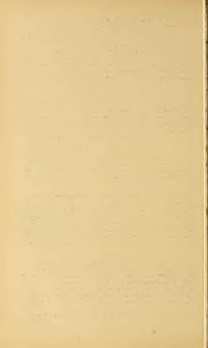 710 PROCEEDINGS OF THE NATIONAL MUSEUM. vol. xxx. Other specimens are from Sea Cliff, New York (Banks), and from Washington, District of Columbia (Busck).