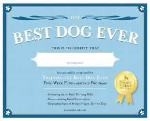 Your puppy will learn 64 training points; 46 training vocabulary words; 22 activities; and 8 optional adventures. Each puppy will receive a frameable certificate and a Graduation photo.