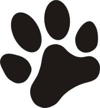 Rockingham County Animal Shelter s: Don t Judge a Dog by Its Color Abby Barrow: albarrow@uncg.edu Jessica Flanagan: jlflanag@uncg.