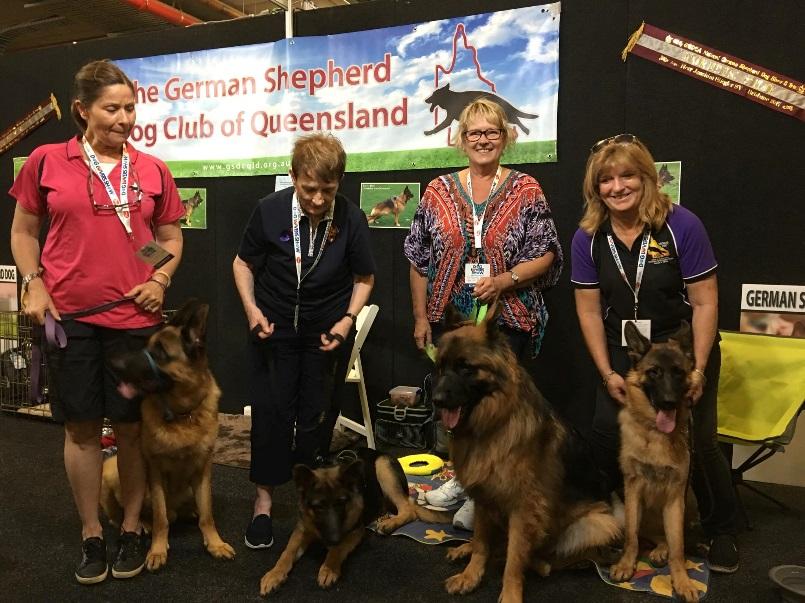 THE GERMAN SHEPHERD DOG CLUB OF QUEENSLAND (Inc.) FEBRUARY- MARCH 2018 NEWSLETTER Apologies to members who haven t received a Newsletter since November 2017.