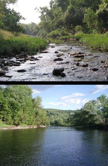 New England Habitats of Interest: Rivers / Streams Complex flowing water habitat Prone to variation (flooding and drying) Depth and velocity of water will impact diversity Slow and deep