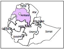 PREVALENCE OF EXTERNAL INJURIES IN WORKING EQUINES IN Mehal Sayit Fig. 1: Map of Mehal Sayit of South Wollo.