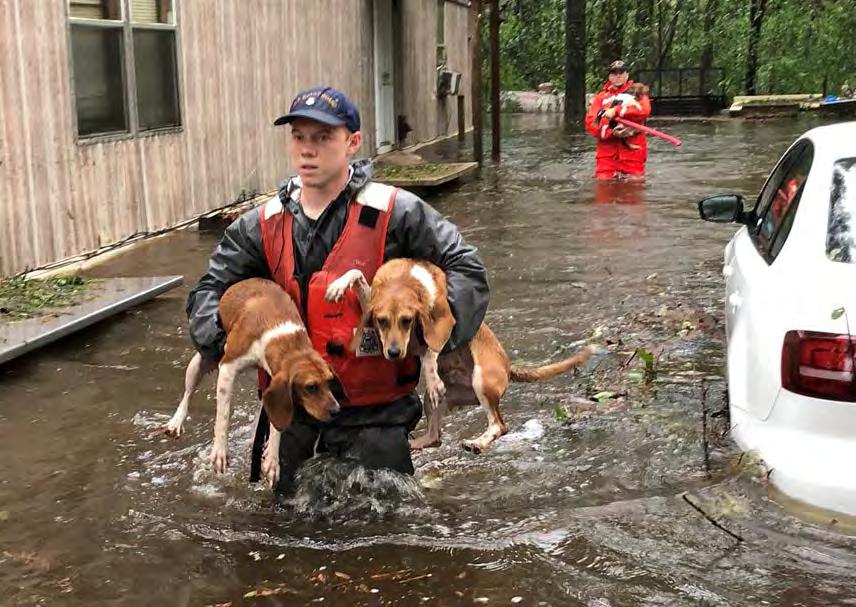 15 Members of Coast Guard Shallow-Water Response Boat Team 3 help stranded pets near Riegelwood, North Carolina, on September 16, 2018.