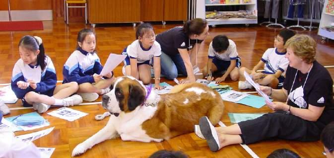 As the first animal therapy programme in mainland China, Dr Dog caught the attention of the media in Chengdu and across the country.