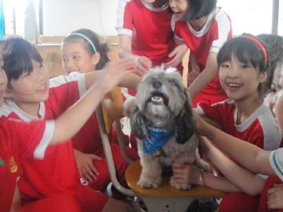 At the end of 2015, more than 85,000 students in 800 schools in Hong Kong, Guangzhou, Shenzhen and Chengdu had graduated as care cadets with our volunteer canine professors as their teachers.