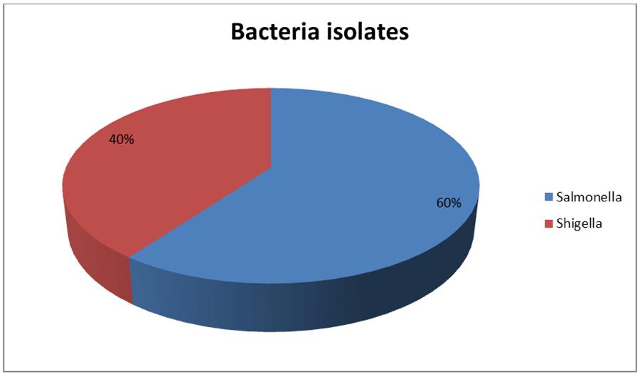 Figure 1. Bacteria isolates showing percentage of the more common pathogen Primary culture plates showing different appearance of the colony morphology of the isolates.