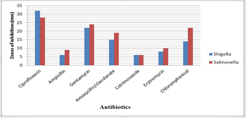 Figure 4. Antibiotic susceptibility patterns of the isolates. 4. DISCUSSION Both isolates, Salmonella 60% and Shigella 40%, were found more frequently on the age group 1-4 years.