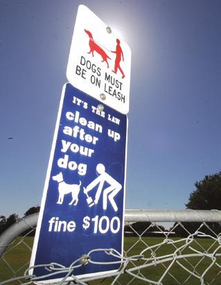 Dog off-leash areas To balance the needs of people who own dogs with those who don t, councils often require dogs to be on a leash when they are away from home.