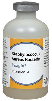 aureus infections Lysigin, AKA Somatostaph