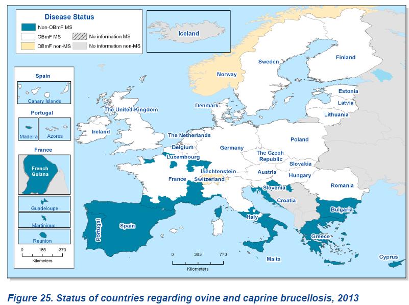 Ovine and caprine brucellosis in EU (status) -