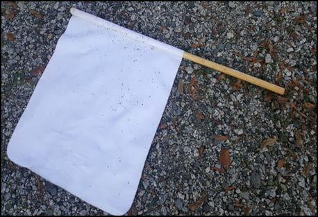 Figure 2.1. Tick Collection Flag. The flag was constructed using a.03 m by 1.