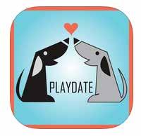 COMPETITIVE ANALSIS The Playdate App Meet