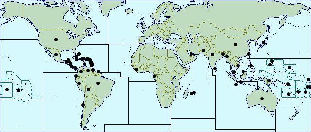 Fig. 2. Distribution map for Solenopsis geminate, by countries.