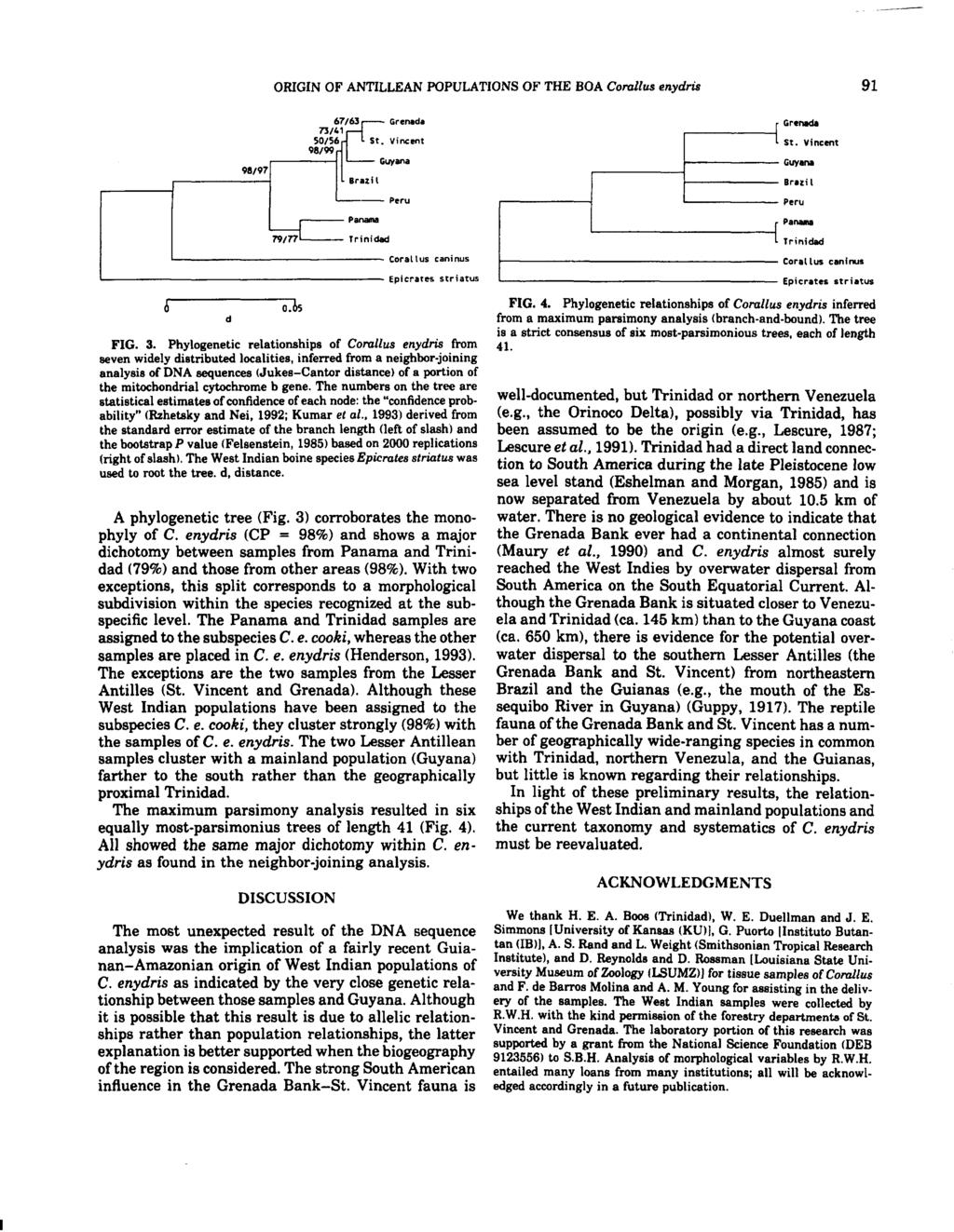 ORIGIN OF ANTILLEAN POPULATIONS OF THE BOA Corallus enydris 91 r GreNlda L St. Vincent 98/97 - Peru Panama Trinidad '-------_- Corallu5 caninus \-..---------------- Epicrates striatus d o.bs FIG. 3.