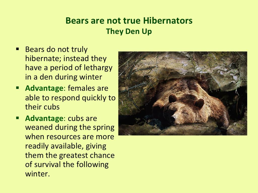 Hibernation is a period of dormancy or inactivity, varying in length depending on the organism and occurring in cold seasons; metabolic processes are greatly slowed and, in mammals, body temperature